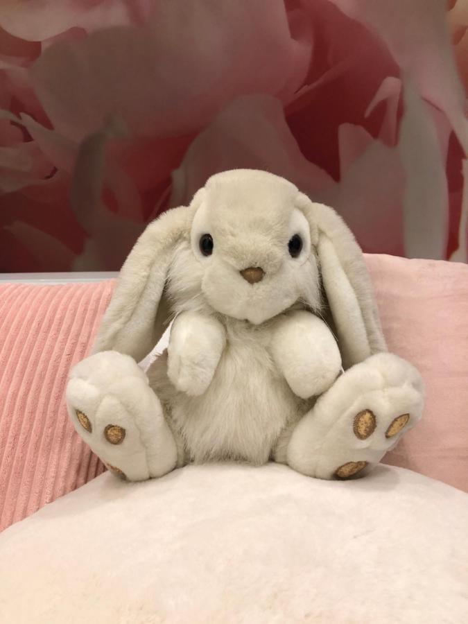 Pan Pan Le Lapin Aubagne-Cassis-Aix En Provence Apartment Екстериор снимка